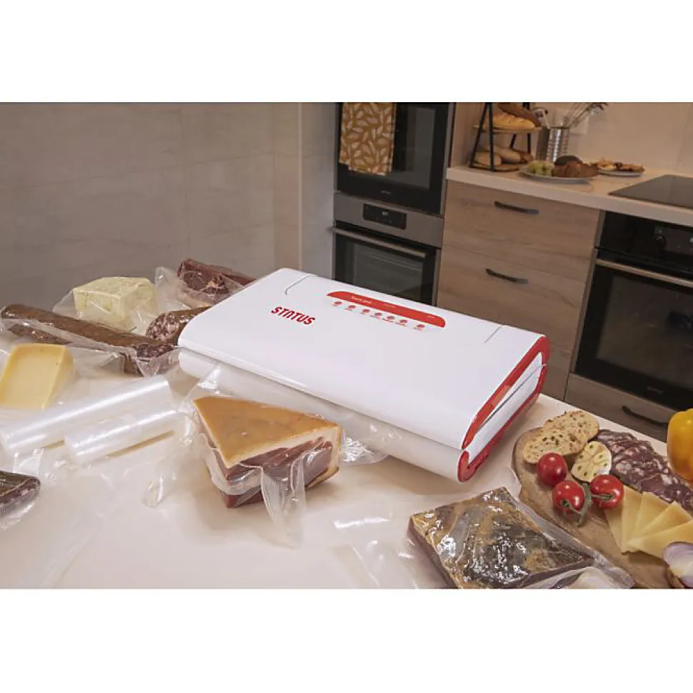 Machine à emballer sous-vide semi-professionnelle - Louis Tellier