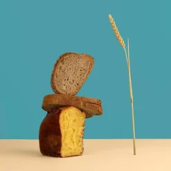 Machine a Pain HKoeNIG - BAKE340 - 12 programmes - 3 niveaux de cuisson - Jusqu'a 800g de pain - 550W - Blanc