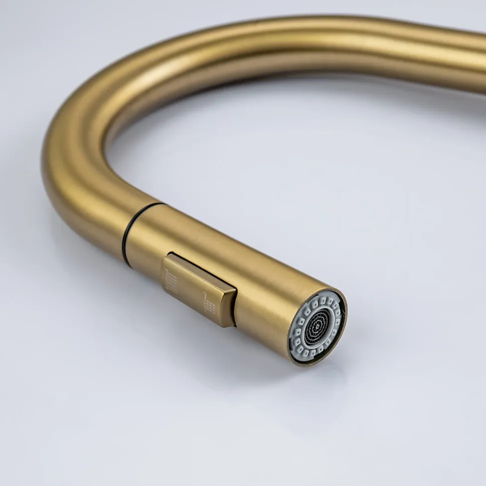 Mitigeur Cuisine avec Douchette Doré LOMAZOO Sphinx