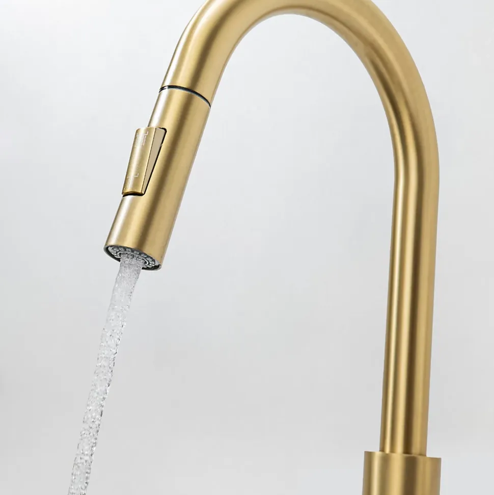 Mitigeur Cuisine avec Douchette Doré LOMAZOO Sphinx