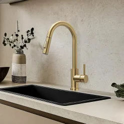 Mitigeur Cuisine avec Douchette Doré LOMAZOO Sphinx