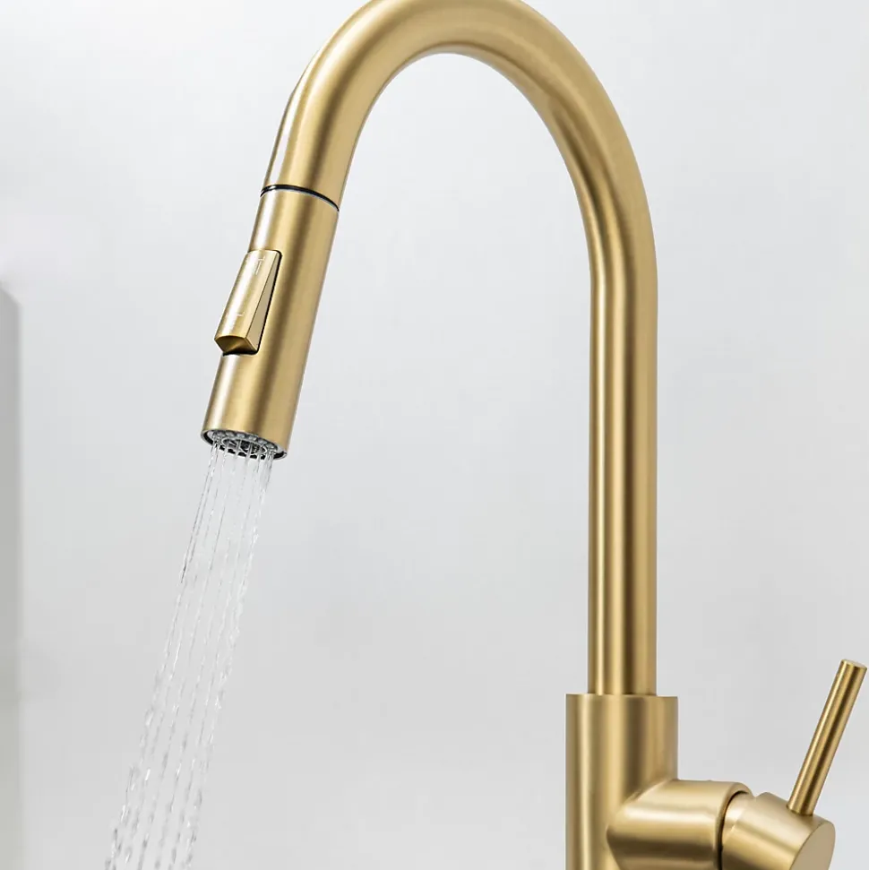 Mitigeur Cuisine avec Douchette Doré LOMAZOO Sphinx