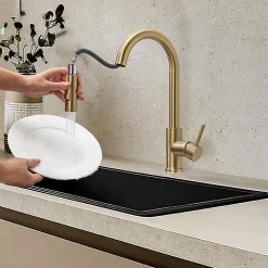 Mitigeur Cuisine avec Douchette Doré LOMAZOO Sphinx