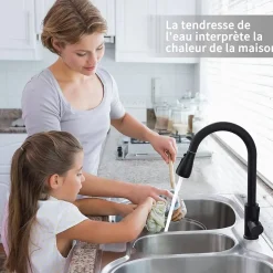Mitigeur Cuisine Noir avec Douchette Extractible Rotatif à 360 degrés en Acier Inoxydable Robinet Cuisine Evier 2 Fonctions