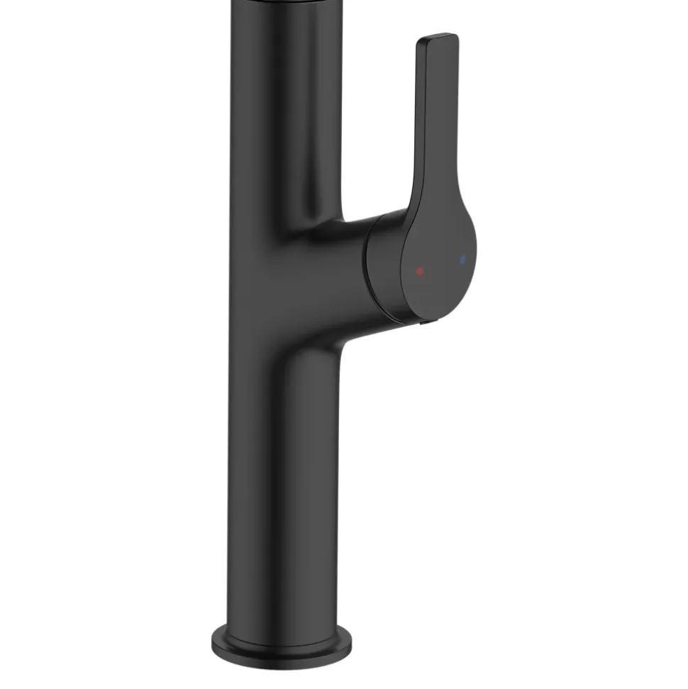 Mitigeur de cuisine avec douchette noir GoodHome Arbane