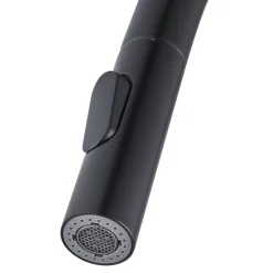 Mitigeur de cuisine avec douchette noir GoodHome Zanthe