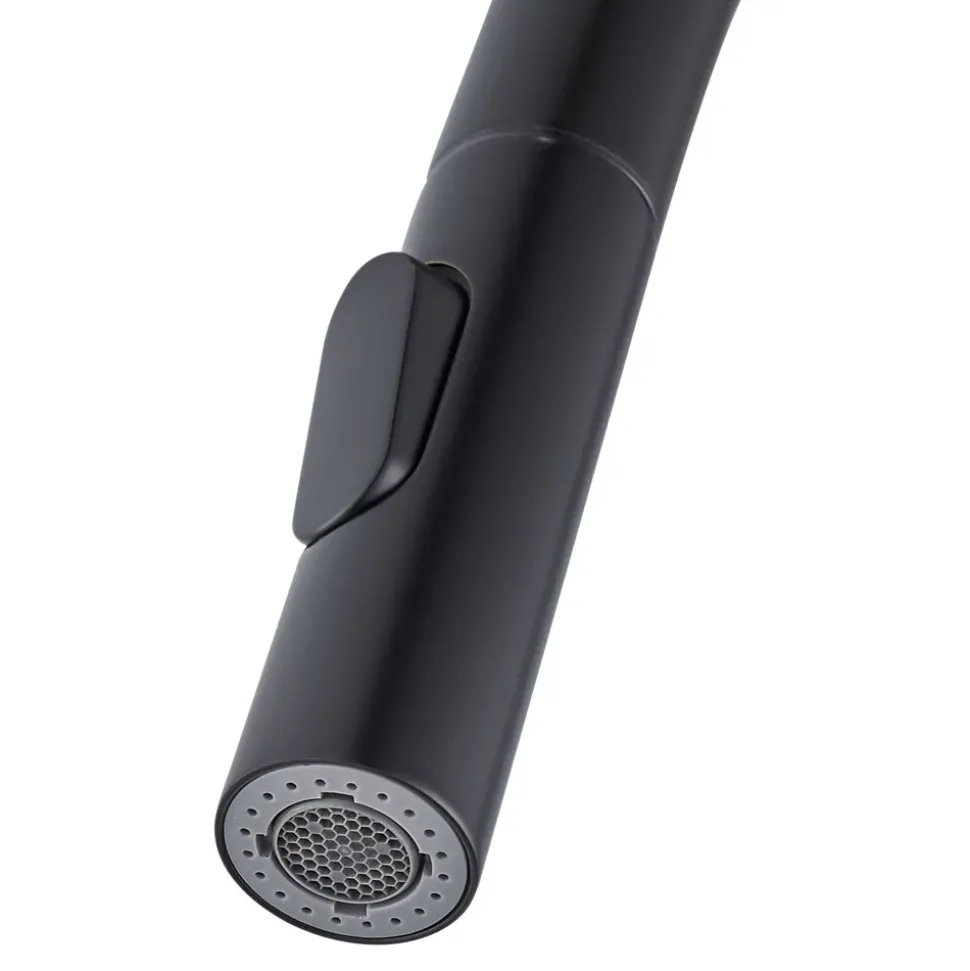 Mitigeur de cuisine avec douchette noir GoodHome Zanthe