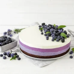 Moule à charnière rond de 28 cm Dr. Oetker Back Harmonie