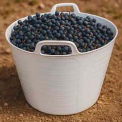 Pack 5 Panier alimentaire flexible avec poignée renforcée (Blanc, 42 L) - Sans BPA. Restaurants, chambres froides, vendanges...