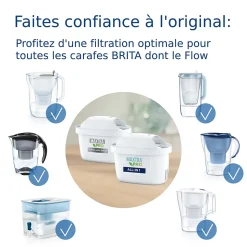 Pack de 2 cartouches filtrantes Brita Maxtra Pro Expert antitartre