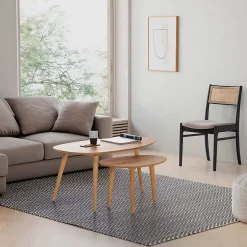 Pack de 2 chaises Vilma Couleur Noir Wash, Bois Massif et Rotin naturel