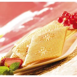 Paire de plaque pour gaufrettes super 2 gaufres Lagrange 030222