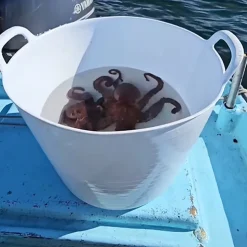 Panier alimentaire flexible avec poignée renforcée (Blanc, 42 L) - Sans BPA. Restaurants, chambres froides, vendanges