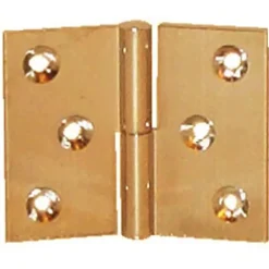 Paumelle laiton poli en 30x40mm droite nœud de 6mm axe acier - PO3140S10