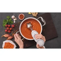 Pied mixeur - BRAUN - MultiQuick 5 Vario MQ5245WH - Moteur 1000 W - 21 vitesses - Easy Click System Plus