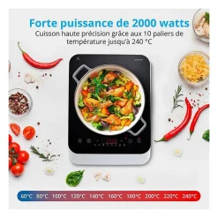 Plaque à induction 1 foyer MEDION MD18490 2000 W noir 29 x 36 x 6 cm