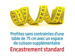 Plaque de cuisson gaz beko 5 foyers 2900 W 75 cm