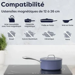 Plaque de cuisson induction 3 foyers 5600W L59xP52cm 9 niveaux de puissance minuterie individuelle Ciarra CD3BIH-C