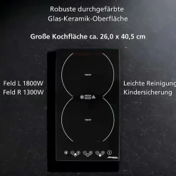 Plaque de cuisson induction steba integre 2 foyers 3100 W 29 cm