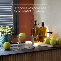Épluche pomme, poire, 3 en 1, pèle, tranche, évide, avec ventouse - Noir - Linxor