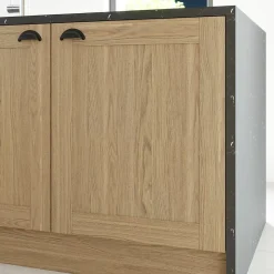 Porte de meuble de cuisine Alpinia décor chêne mat l. 60 cm x H. 72 cm GoodHome