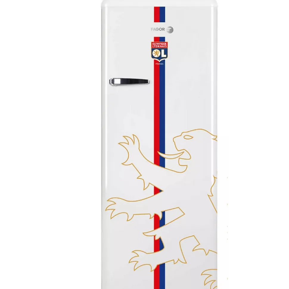 Réfrigérateur 1 porte 55cm 218l Fagor FSPR194OLW