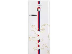 Réfrigérateur 1 porte 55cm 218l Fagor FSPR194OLW