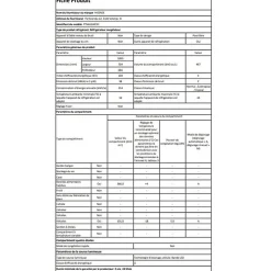 Réfrigérateur congélateur en haut Hisense FTN461WCE1