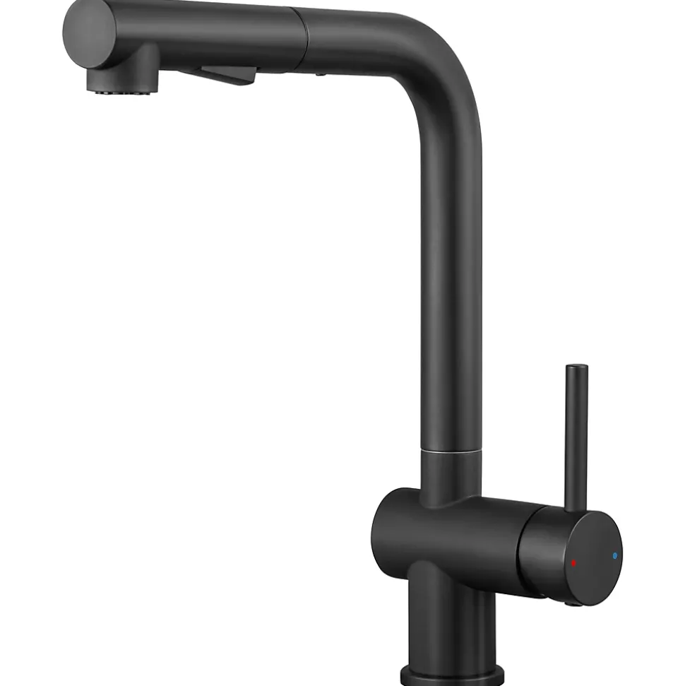 Robinet Cuisine avec Douchette Extractible, Mitigeur de Cuisine en Inox Mitigeur d'Évier avec 2 Modes de Sortie D'eau, Noir