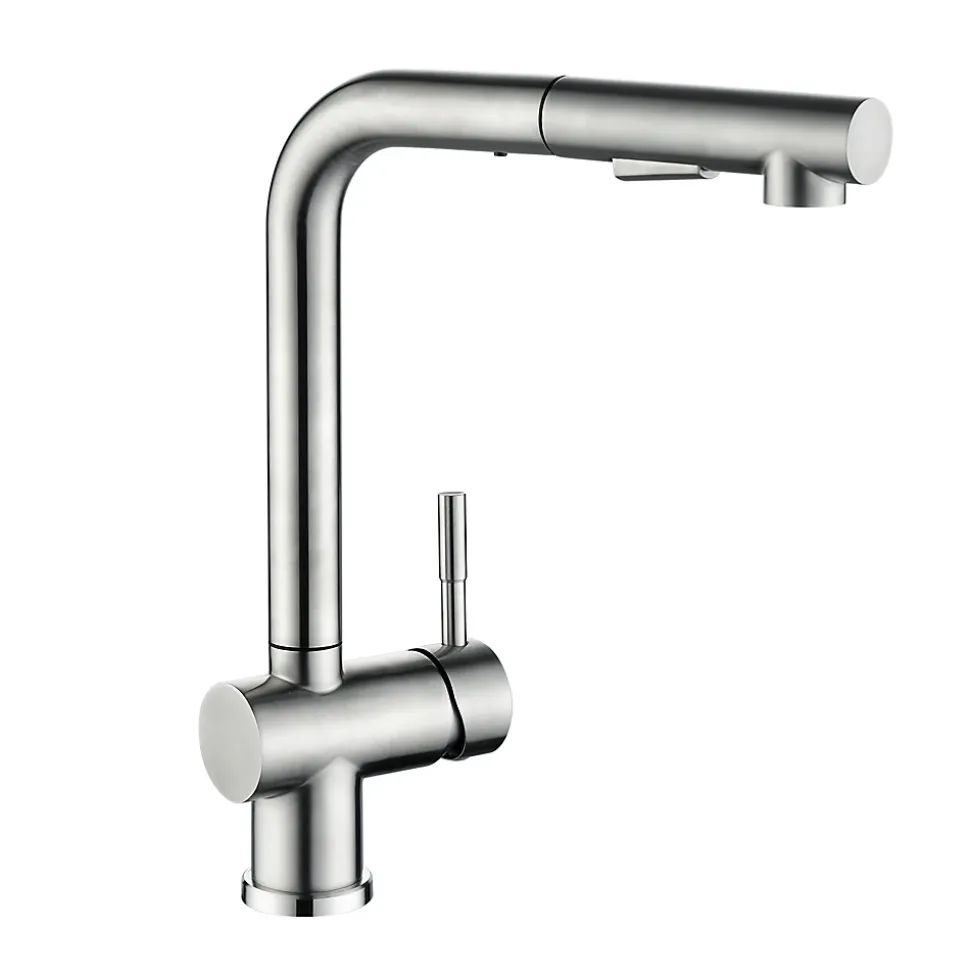 Robinet Cuisine avec Douchette Extractible, Mitigeur de Cuisine en Inox Mitigeur d'Évier avec 2 Modes de Sortie D'eau, Brossé