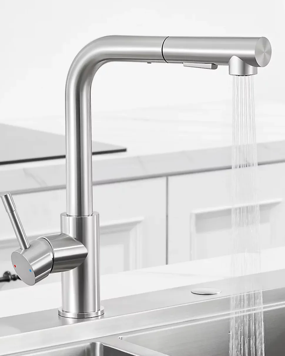 Robinet Cuisine avec Douchette Extractible, Mitigeur de Cuisine en Inox Mitigeur d'Évier avec 2 Modes de Sortie D'eau, Brossé