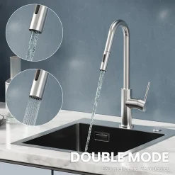 Robinet de Cuisine avec Douchette Extractible, Mitigeur Cuisine en Inox Mitigeur d'Évier avec 2 Modes de Sortie D'eau, Brossé