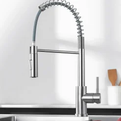 Robinet de Cuisine avec Douchette Extractible, Mitigeur Cuisine en Inox Mitigeur d'Évier avec 2 Modes de Sortie D'eau, Brossé