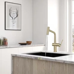 Timeless mitigeur d'évier à levier en acier inoxydable avec douchette extractible, monotrou, or brossé (TMLKF185BG)