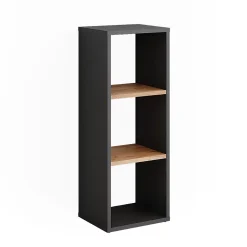 Vicco Armoire à chaussures Anthracite/chêne doré 30x80.1cm