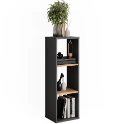 Vicco Armoire à chaussures Anthracite/chêne doré 30x90.5cm