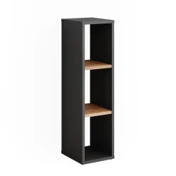 Vicco Armoire à chaussures Anthracite/chêne doré 21.6x80.1cm