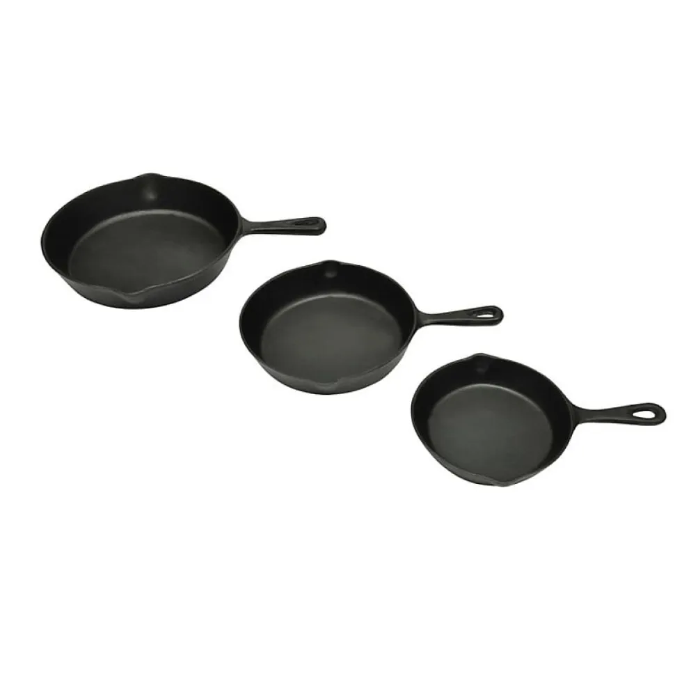 VidaXL - Lot 3 poeles fonte - 17 21 27 cm - induction BBQ