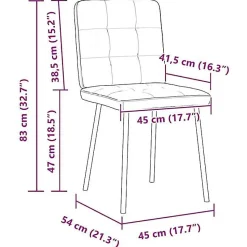 vidaXL Chaises à manger lot de 2 Noir Velours, chaise de dîner, chaise de cuisine, chaise d'appoint, chaise, chaise de 4101063