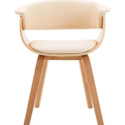 vidaXL 2x Bois Courbé Chaises de Salle à Manger Chaises à Dîner Chaises de Repas Chaises de Cuisine Siège de Salon Chaises 278730