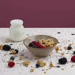 Yaourtiere HKoeNIG - ELY120 - Capacité 12 pots de 160ml - Programmable jusqu'a 15h - 15W